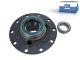DT Spare Parts 6.54019 Radnabe, mit Lager, d1: 140 mm, d2: 160 mm, D: 376,5 mm, 10 bores, b: 25 mm, H: 210 mm passend für Renault
