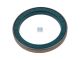 DT Spare Parts 6.54059 Wellendichtring, d: 100 mm, D: 130 mm, H: 14 mm passend für Multimarken