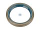 DT Spare Parts 6.60313 Wellendichtring, d: 42 mm, D: 55 mm, H: 7 mm passend für Multimarken