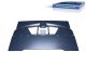 DT Spare Parts 6.70002SP Frontgrill, ohne Anbauteile passend für Renault