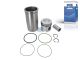 DT Spare Parts 6.91155 Kolben mit Laufbuchse, D: 123 mm passend für Multimarken