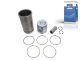 DT Spare Parts 6.91156 Kolben mit Laufbuchse, D: 102 mm passend für Renault