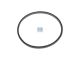 DT Spare Parts 6.91701 Dichtring, Abgaskrümmer, d: 62 mm, D: 67,5 mm, S: 2,6 mm passend für Renault