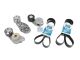 DT Spare Parts 6.92401 Riemenspannersatz, 8PK 1515/ 10PK 1512 passend für Renault