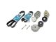 DT Spare Parts 6.92404 Riemenspannersatz, 8PK 1515/ 10PK 1487 passend für Renault