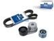 DT Spare Parts 6.92413 Riemenspannersatz passend für Multimarken