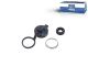 DT Spare Parts 6.95180 Reparatursatz, Bremssattel passend für Renault