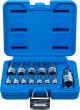 Bit-Einsatz-Satz | Antrieb Innenvierkant 6,3 mm (1/4