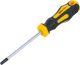 Schraubendreher | T-Profil (für Torx) T30 | Klingenlänge 100 mm BGS7844-T30