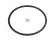 DT Spare Parts 7.11165 O-Ring, d: 97,79 mm, S: 5,33 mm passend für Iveco