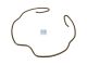 DT Spare Parts 7.11168 Sprengring passend für Iveco