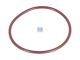 DT Spare Parts 7.11190 O-Ring, d: 120 mm, S: 5,3 mm passend für Iveco