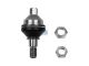 DT Spare Parts 7.11330 Kugelkopf, Rechtsgewinde, C: 21,5 mm, M18 x 1,5R passend für Multimarken