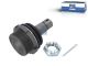 DT Spare Parts 7.13107 Kugelgelenk, Querlenker passend für Iveco