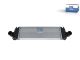 DT Spare Parts 7.21046 Ladeluftkühler, L: 600 mm, W: 188 mm, T: 64 mm passend für Iveco