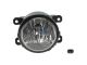 DT Spare Parts 7.25098 Nebelscheinwerfer, mit Glühlampe passend für Multimarken
