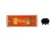 DT Spare Parts 7.25113 Blinkleuchte, links passend für Iveco