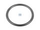 DT Spare Parts 7.32215 O-Ring, d: 24 mm, S: 3 mm passend für Iveco