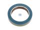 DT Spare Parts 7.32224 Wellendichtring, d: 66 mm, D: 92 mm, H: 19 mm passend für Iveco