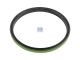 DT Spare Parts 7.32233 Wellendichtring, d: 179 mm, D: 200 mm, H1: 15,5 mm, H2: 16,5 mm passend für Iveco