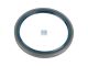 DT Spare Parts 7.32234 Wellendichtring, d: 125 mm, D: 150 mm, H: 13 mm passend für Multimarken