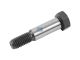 DT Spare Parts 7.40100 Schraube, M8, L: 40 mm passend für Iveco