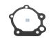 DT Spare Parts 7.50501 Dichtung passend für Iveco