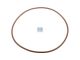 DT Spare Parts 7.50536 O-Ring, d: 130 mm, S: 3,5 mm passend für Iveco