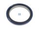 DT Spare Parts 7.50550 Wellendichtring, d: 100 mm, D: 130 mm, H: 14 mm passend für Iveco