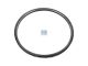 DT Spare Parts 7.54010 Zahnkranz, d: 452 mm, D: 497 mm, 155 teeth passend für Iveco