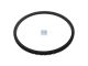DT Spare Parts 7.54012 Zahnkranz, d: 436 mm, D: 479 mm, 149 teeth passend für Iveco