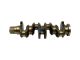 DT Spare Parts 7.54131 Kurbelwelle passend für Iveco