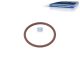 DT Spare Parts 7.56700 O-Ring, d: 23,53 mm, S: 1,78 mm passend für Iveco