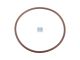 DT Spare Parts 7.58235 O-Ring, d: 61,6 mm, S: 2,62 mm passend für Iveco
