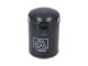 DT Spare Parts 7.59009 Ölfilter, D: 94 mm, M22 x 1,5, H: 142 mm passend für Multimarken