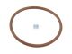 DT Spare Parts 7.59260 O-Ring, d: 26,7 mm, S: 1,78 mm passend für Iveco