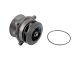 DT Spare Parts 7.60012 Wasserpumpe passend für Iveco