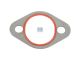 DT Spare Parts 7.60080 Dichtung passend für Iveco