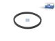 DT Spare Parts 7.60090 Dichtring, Wasserpumpe passend für Iveco