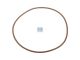 DT Spare Parts 7.60161 O-Ring, d: 126,59 mm, S: 3,53 mm passend für Iveco