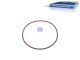 DT Spare Parts 7.60162 O-Ring, d: 110,72 mm, S: 3,53 mm passend für Iveco