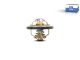 DT Spare Parts 7.60202 Thermostat, 82 °C passend für Multimarken