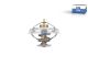 DT Spare Parts 7.60210 Thermostat, 79 °C passend für Iveco