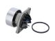 DT Spare Parts 7.60302 Wasserpumpe passend für Iveco