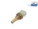 DT Spare Parts 7.60503 Temperatursensor, M12 x 1,5, 2 poles passend für Multimarken