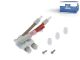 DT Spare Parts 7.76440 Ventil, Sitz passend für Iveco
