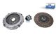 DT Spare Parts 7.90516 Kupplungssatz, D: 430 mm passend für Iveco
