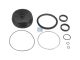 DT Spare Parts 7.90575 Reparatursatz, Kupplungsservo passend für Iveco