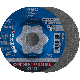 CC-GRIND FLEX 115 FINE SG STEEL 4007220032800