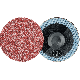 SCHLEIFBLAETTER CDR 25 A 60 FORTE 4007220778388